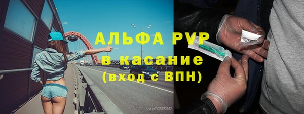 гидра Пестово