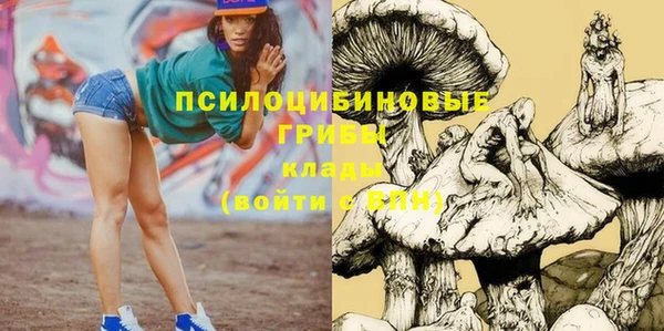 гидра Пестово